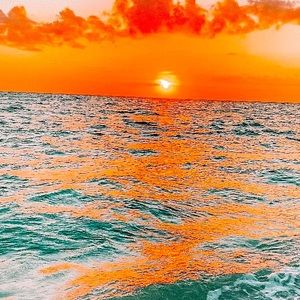 Meet your Posher, Ellie